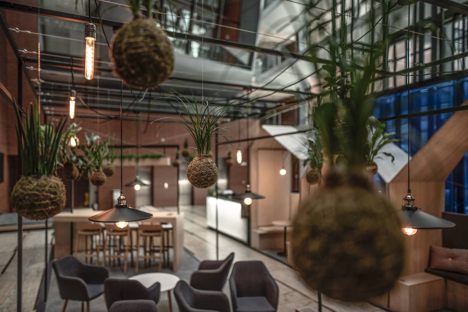 Atmosféra lounge zóny — závěsná kokedama v popředí